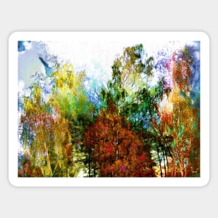 Colorful Birches Sticker